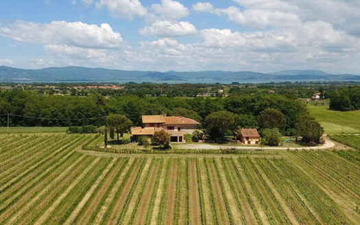 Azienda agricola, faunistica e vitivinicola situata nella provincia senese – Rif. AZG250323 TOSCANA
